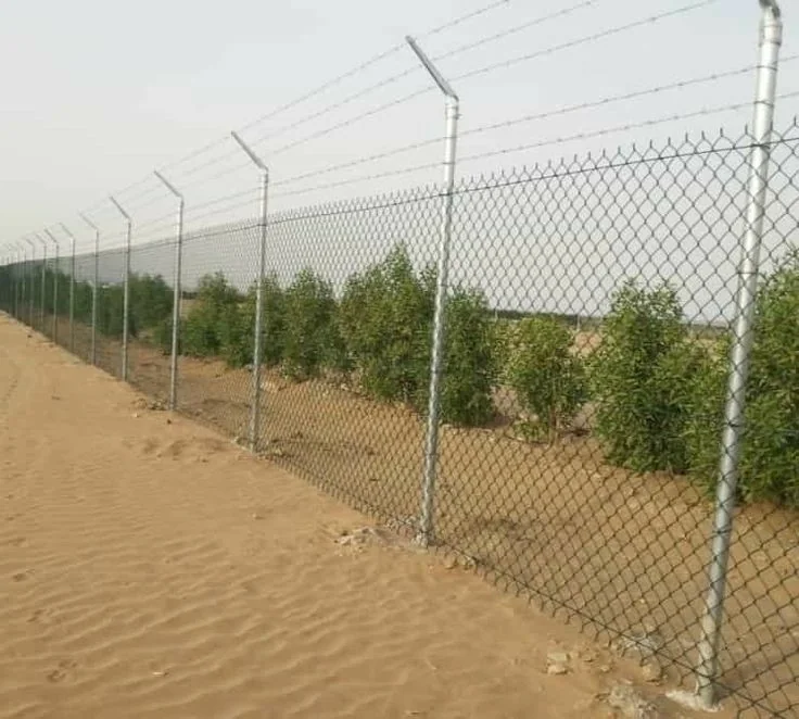 شبوك